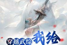 穿越武綜，我給邀月解毒這本小說完結了嗎？免費查看最新章節-極品小說