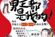 小說《男主都是我的！》在線章節閱讀-極品小說