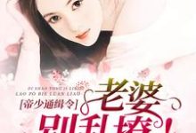 完結版《帝少通緝令：老婆，別亂撩》章節目錄在線閱讀-極品小說