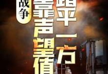 小說《戰爭：我靠聲望值踏平一方》在線章節閱讀-極品小說