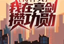 完結版《特種兵：我在亮劍攢功勳》免費閱讀-極品小說