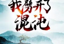 大劫後，我劈開了混沌楊風郭嘯天郭美美小說在線章節免費閱讀-極品小說