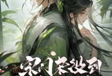 已完結小說《雙修無敵：從宗門雜役到蓋世帝尊》在線章節閱讀-極品小說