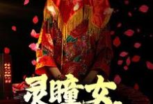 在線搜索 蘇婉白重的完整小說，免費閱讀詭異：靈瞳女，蛇靈夫-極品小說