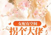 完結版《女配有空間：拐個大佬玩轉七零》免費閱讀-極品小說