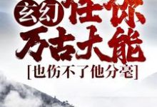 小說《玄幻：任你萬古大能，也傷不了他分毫》在線章節閱讀-極品小說