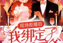 《現場拒婚後，我綁定了京圈太子爺》小說章節列表免費試讀，秦司，宋希楚弘逸小說在線閱讀-極品小說