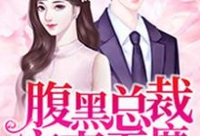 小說《腹黑總裁寵妻無度》章節免費閱讀-極品小說