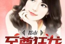 求都市至尊狂龍小說免費資源-極品小說