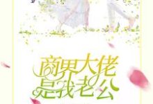 完結版《商界大佬是我老公》章節閱讀-極品小說