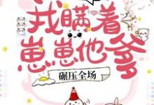 已完結小說《豪門團寵：我瞞著崽崽他爹，碾壓全場！》最新章節-極品小說