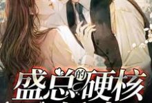 盛總的硬核小嬌妻小說閱讀，盛總的硬核小嬌妻完結版-極品小說