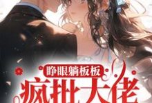 小說《睜眼躺闆闆？瘋批大佬她殺瘋了》在線章節閱讀-極品小說