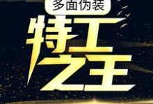 多面偽裝：特工之王小說有沒有完結版在線？-極品小說