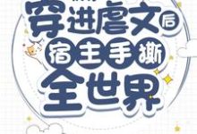 小說《快穿：穿進虐文後宿主手撕全世界》章節閱讀-極品小說