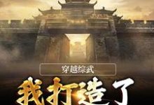 穿越綜武：我打造了不朽大夏這本小說怎麼樣？免費在線閱讀試試-極品小說