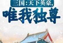 小說《三國：天下英豪，唯我獨尊！》章節免費閱讀-極品小說