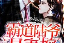 小說《霸道陸爺是妻控》在線章節閱讀-極品小說