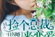 《一日閃婚：撿個總裁來戀愛》小說大結局免費試讀 顧朝顏林悅生小說-極品小說