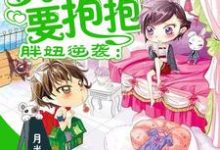 已完結小說《胖妞逆襲：男神老公要抱抱》章節免費閱讀-極品小說