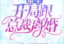 小說《重生：開局跟總裁離婚》章節免費閱讀-極品小說