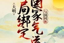 主人公叫朱瞻基朱棣的小說哪裡免費看-極品小說