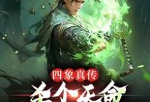 完結版《四象真傳，殺個天命不是簡簡單單》免費閱讀-極品小說