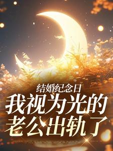 結婚紀念日，我視為光的老公出軌了（尹禾月宋嶼舟）在線免費閱讀