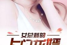 完結版《女總裁的上門龍婿》在線免費閱讀-極品小說