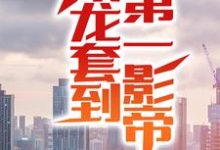 已完結小說《從龍套到第一影帝》在線章節閱讀-極品小說