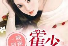 小說《一晚情深，霍少溺寵嬌妻》章節免費閱讀-極品小說