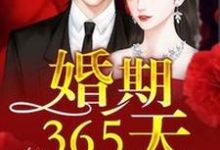 婚期365天慕淺霍靳西葉惜葉璟帆，婚期365天最新章節-極品小說