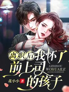 完結版《離職後我懷了前上司的孩子》章節目錄在線閱讀