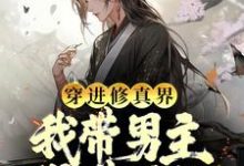 穿進修真界：我帶男主得道昇仙小說全文哪裡可以免費看？-極品小說