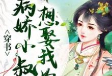 穿書：病嬌小叔子想娶我為妻小說的無彈窗閱讀體驗，尋找免費閱讀網站-極品小說