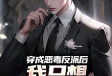 小說《穿成惡毒反派後，我只想離婚保平安》章節免費閱讀-極品小說