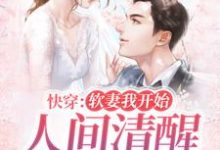 快穿：軟妻我開始人間清醒，真香了小說有沒有完結版在線？-極品小說