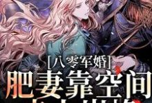 完結版《八零軍婚：肥妻靠空間走上巔峰》章節閱讀-極品小說