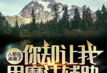 小說《人都在盜墓了，你卻讓我用魔法輔助？》在線章節閱讀-極品小說