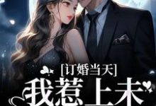 求訂婚當天，我惹上未婚夫小叔小說免費資源-極品小說