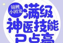 小說《錦鯉小團寵：滿級神醫技能已點亮》章節免費閱讀-極品小說