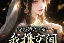 完結版《穿越嬌寵醫妃：我攜空間秒殺太醫院》章節閱讀-極品小說