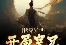 《快穿異世，開局皇兄全戰死》小說大結局免費試讀 李辰穆英兒小說-極品小說