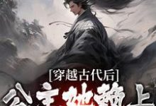 小說《穿越古代後，公主她賴上我不走了》在線章節閱讀-極品小說