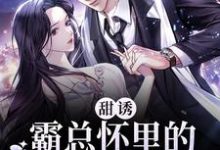 《甜誘！霸總懷裡的小妖精超撩人》全集免費在線閱讀（ 夏沫夜爵）-極品小說