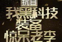 抗日：我黑科技裝備驚呆老李小說，抗日：我黑科技裝備驚呆老李章節在線閱讀-極品小說