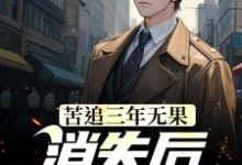 小說《苦追三年無果，消失後，她卻瘋了》章節閱讀-極品小說