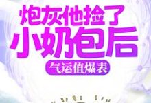 在線免費閱讀炮灰他撿了小奶包後，氣運值爆表完整小說-極品小說