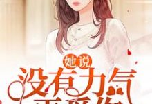 完結版《她說：沒有力氣再愛你》章節目錄在線閱讀-極品小說