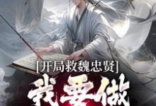 朱由檢小說完結版在線閱讀，開局救魏忠賢，我要做宮鬥冠軍免費看-極品小說